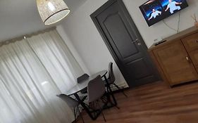 Silene Studio