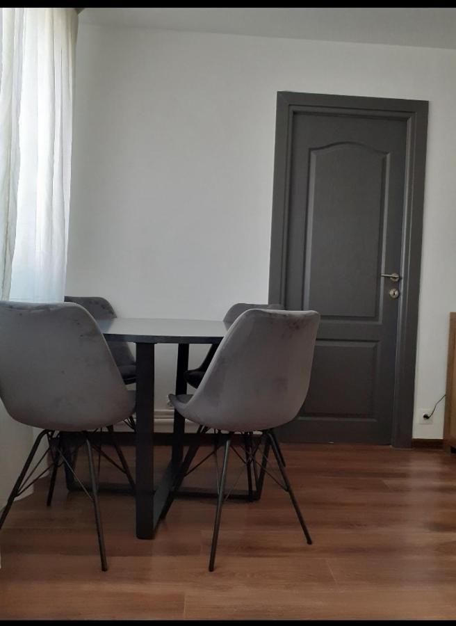 Silene Studio Craiova Esterno foto